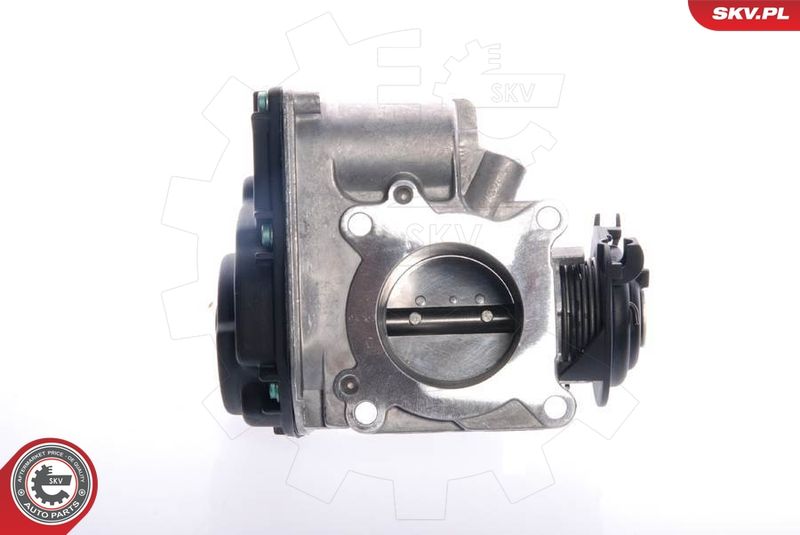 ESEN SKV 12SKV024 Throttle Body