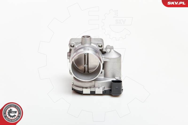 ESEN SKV 12SKV039 Throttle Body
