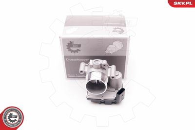 Throttle Body ESEN SKV 12SKV064