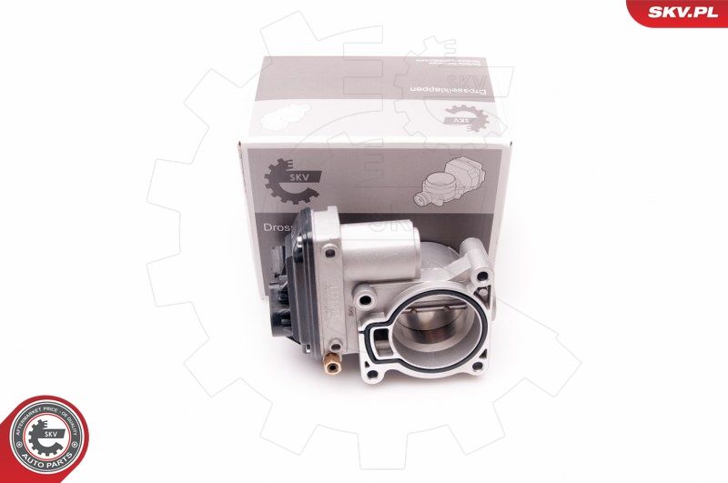 ESEN SKV 12SKV069 Throttle Body