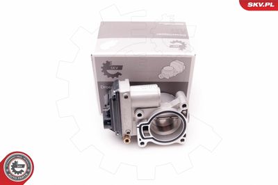 Throttle Body ESEN SKV 12SKV069