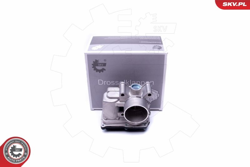 ESEN SKV 12SKV076 Throttle Body