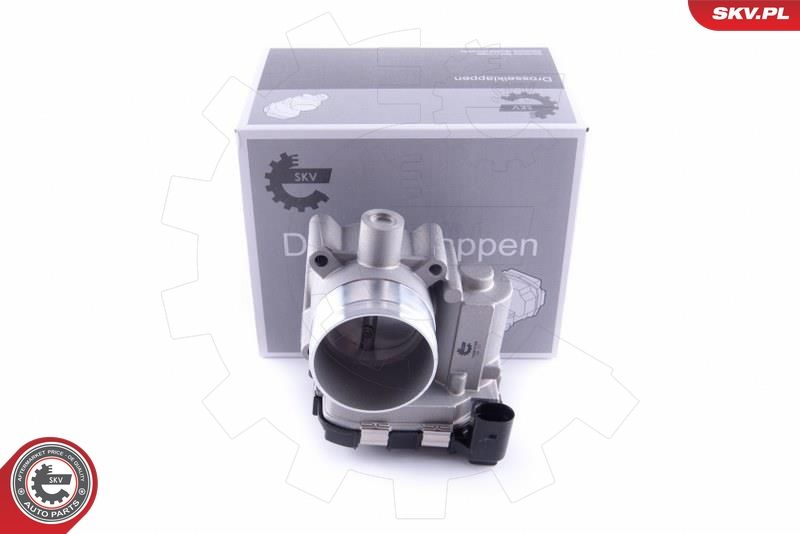 ESEN SKV 12SKV100 Throttle Body