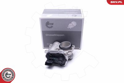 Throttle Body ESEN SKV 12SKV102
