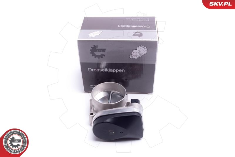 ESEN SKV 12SKV108 Throttle Body