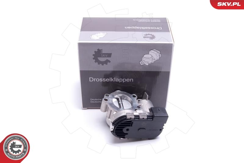 ESEN SKV 12SKV119 Throttle Body