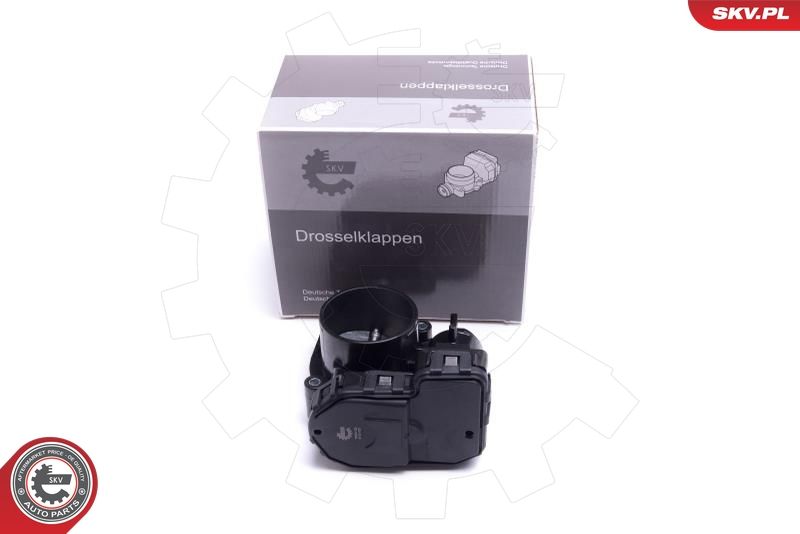 ESEN SKV 12SKV120 Throttle Body