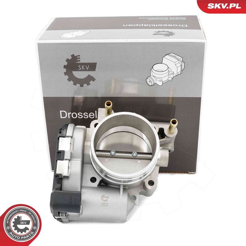 ESEN SKV 12SKV131 Throttle Body