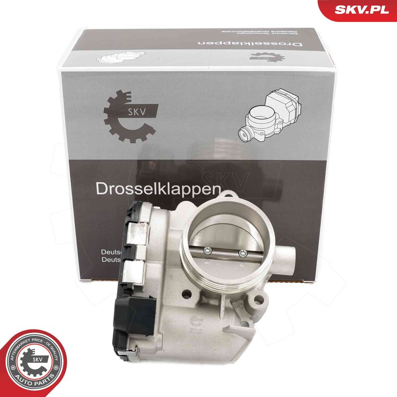 ESEN SKV 12SKV133 Throttle Body