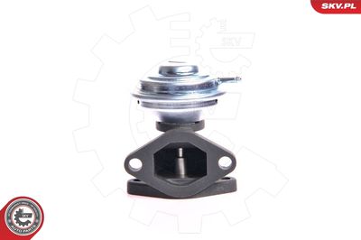 EGR Valve ESEN SKV 14SKV001