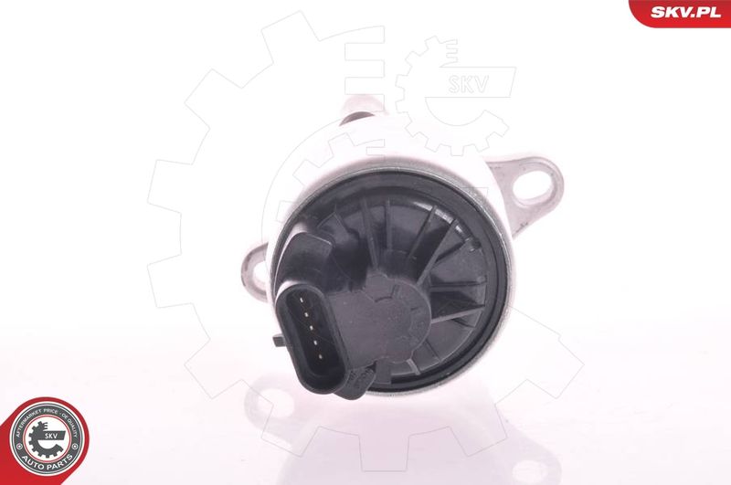 ESEN SKV 14SKV002 EGR Valve