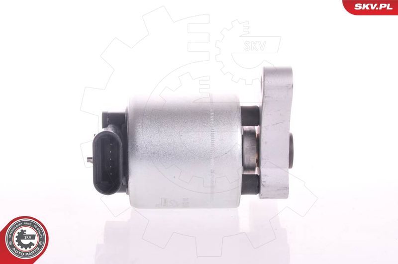 ESEN SKV 14SKV004 EGR Valve