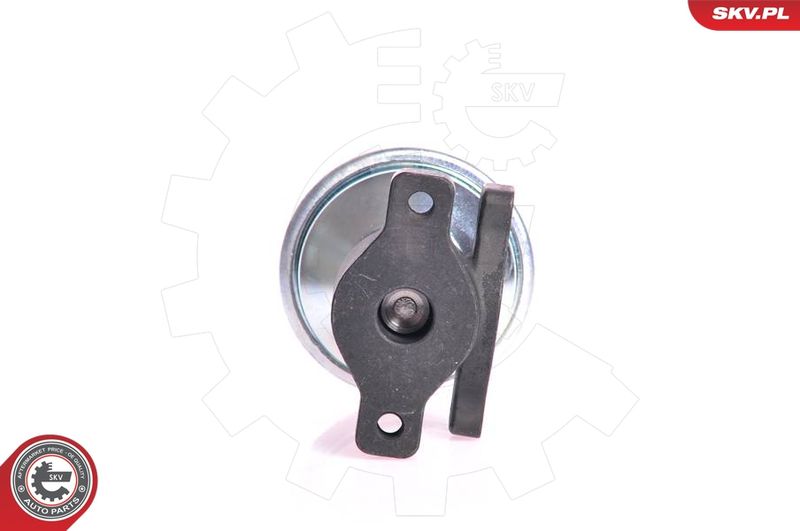 ESEN SKV 14SKV005 EGR Valve