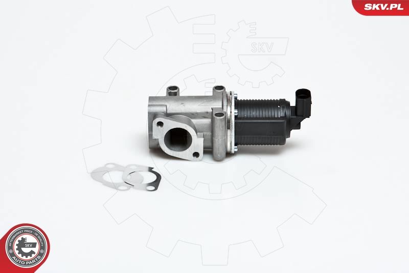 ESEN SKV 14SKV006 EGR Valve