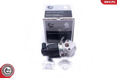 EGR Valve ESEN SKV 14SKV008