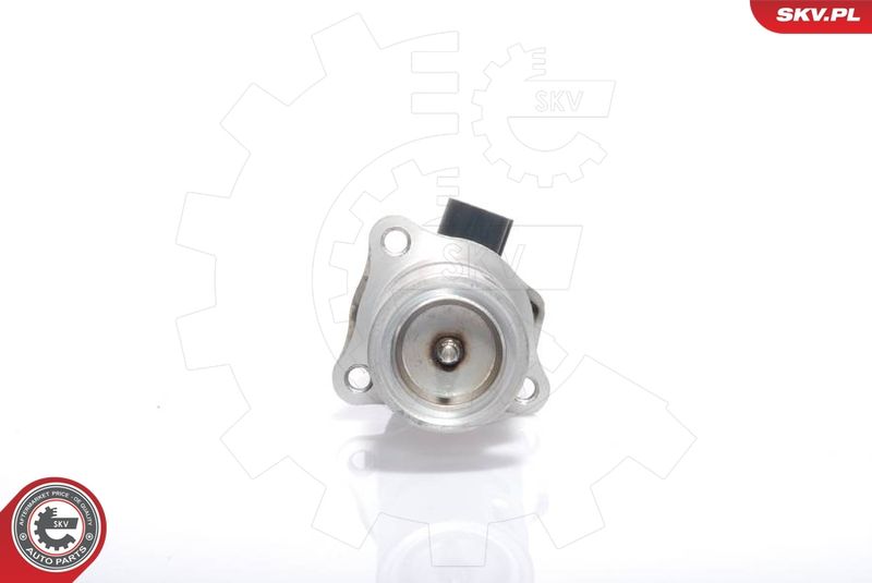 ESEN SKV 14SKV009 EGR Valve
