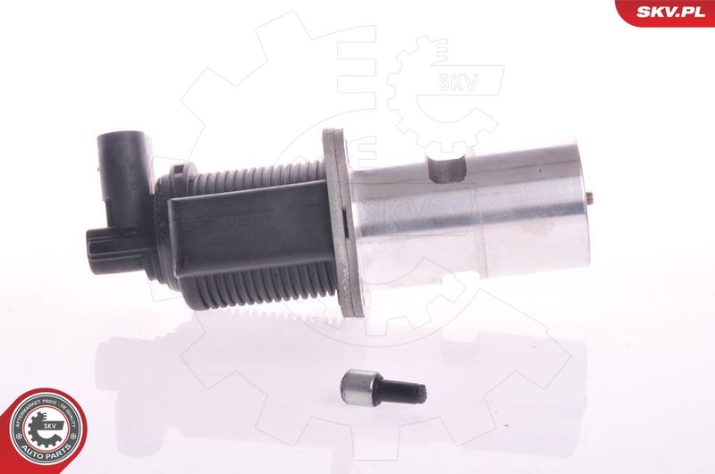 ESEN SKV 14SKV011 EGR Valve