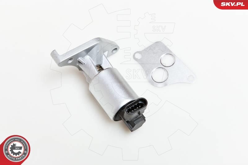 ESEN SKV 14SKV013 EGR Valve