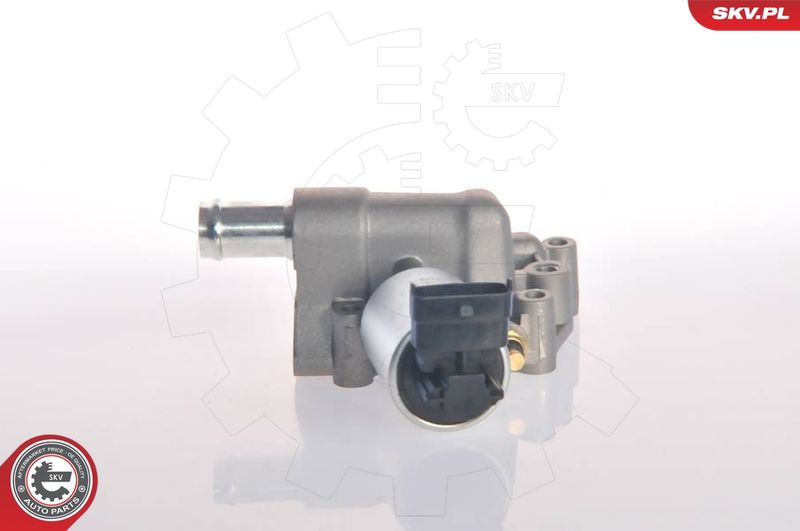ESEN SKV 14SKV015 EGR Valve