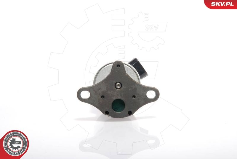 ESEN SKV 14SKV017 EGR Valve
