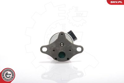 EGR Valve ESEN SKV 14SKV017
