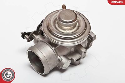 EGR Valve ESEN SKV 14SKV020