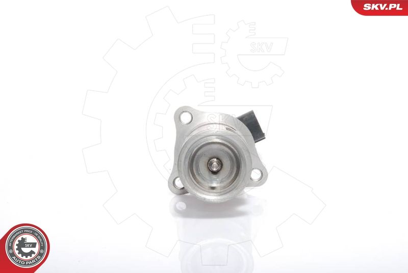 ESEN SKV 14SKV021 EGR Valve