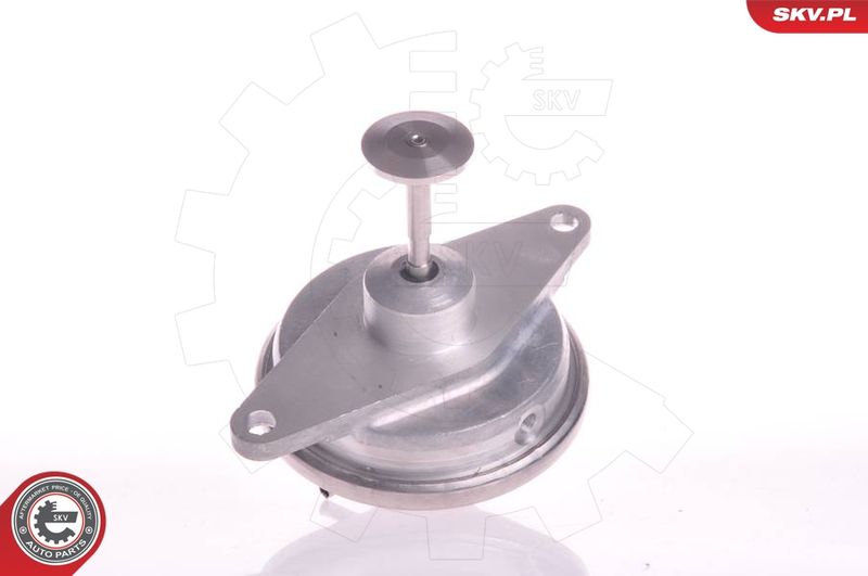ESEN SKV 14SKV022 EGR Valve