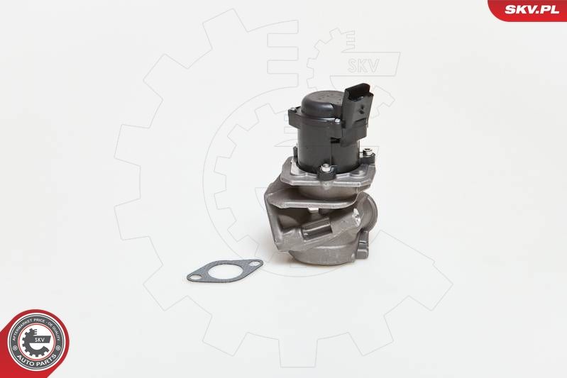ESEN SKV 14SKV027 EGR Valve