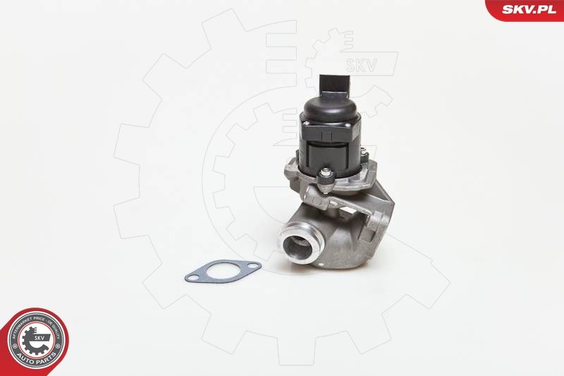 ESEN SKV 14SKV028 EGR Valve