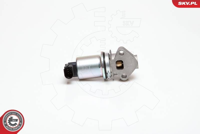 ESEN SKV 14SKV029 EGR Valve