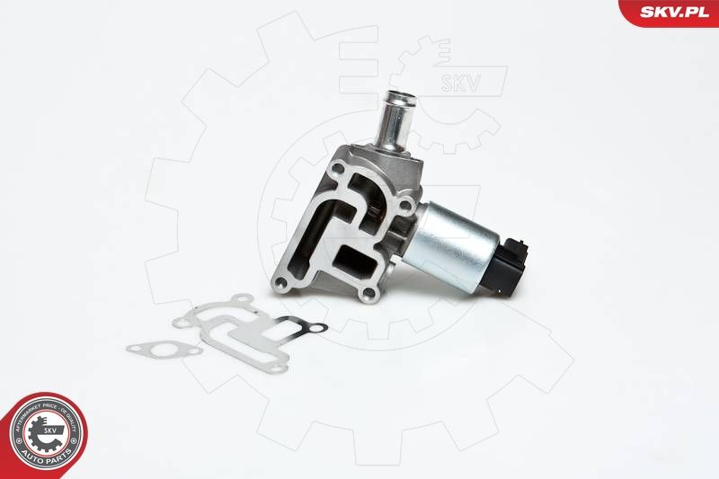 ESEN SKV 14SKV030 EGR Valve