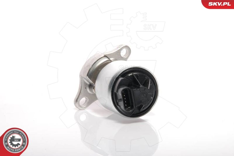 ESEN SKV 14SKV035 EGR Valve