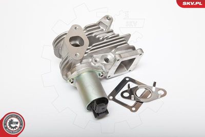 EGR Valve ESEN SKV 14SKV036
