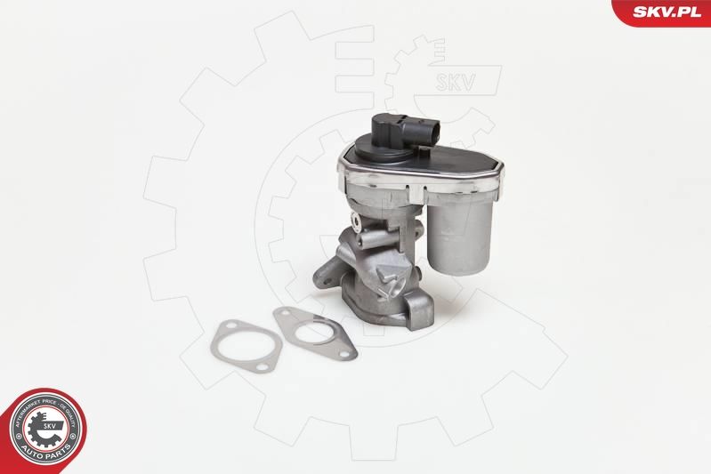 ESEN SKV 14SKV038 EGR Valve