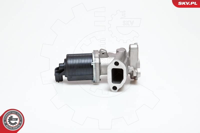 ESEN SKV 14SKV040 EGR Valve