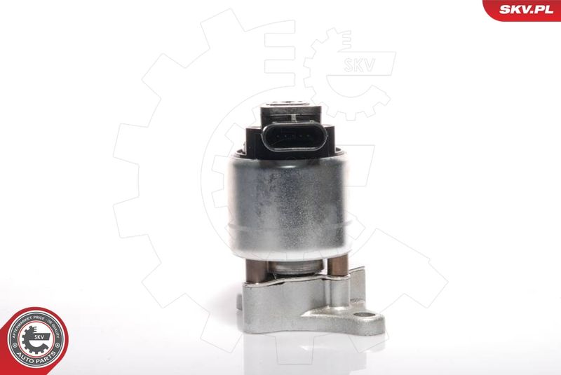 ESEN SKV 14SKV041 EGR Valve
