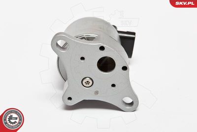 EGR Valve ESEN SKV 14SKV042