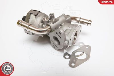 EGR Valve ESEN SKV 14SKV044