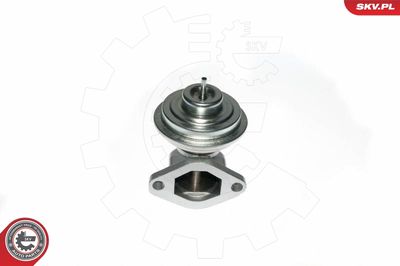 EGR Valve ESEN SKV 14SKV049