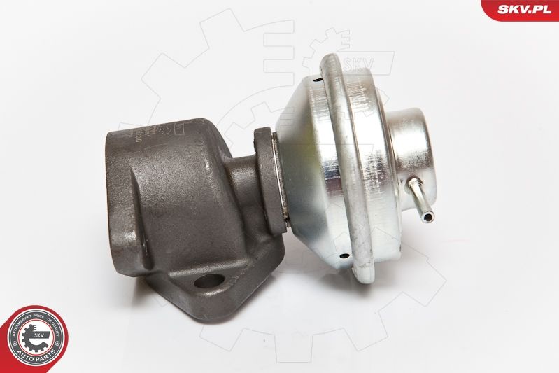 ESEN SKV 14SKV051 EGR Valve