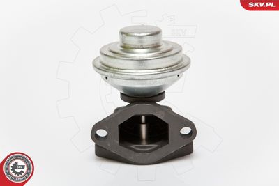 EGR Valve ESEN SKV 14SKV052