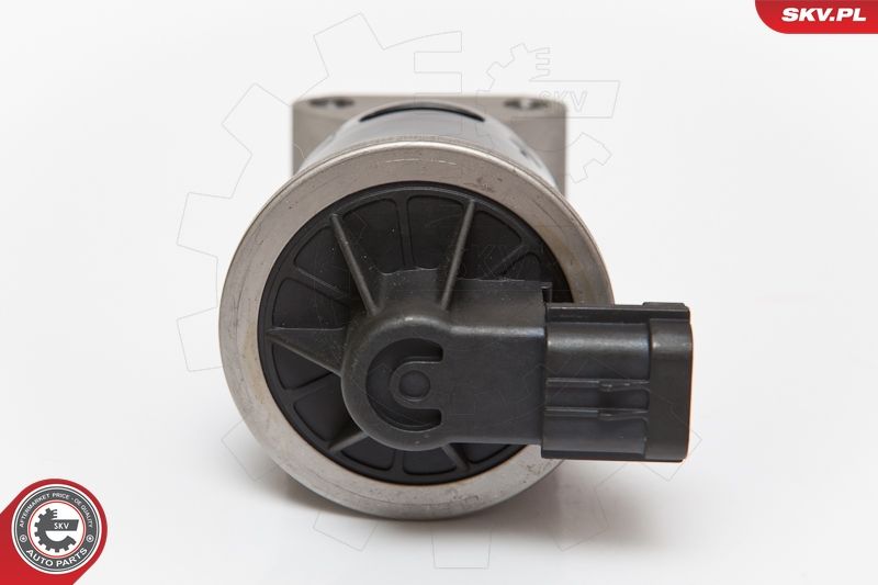 ESEN SKV 14SKV053 EGR Valve
