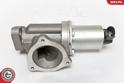 EGR Valve ESEN SKV 14SKV054