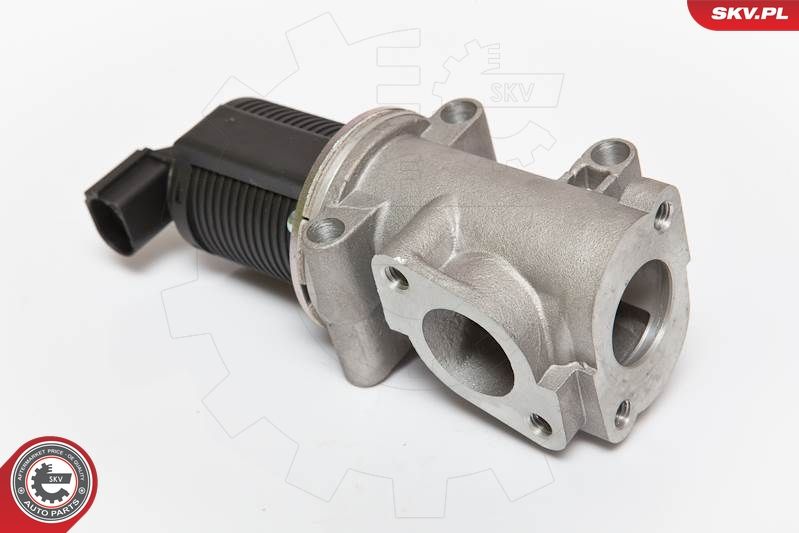 ESEN SKV 14SKV055 EGR Valve