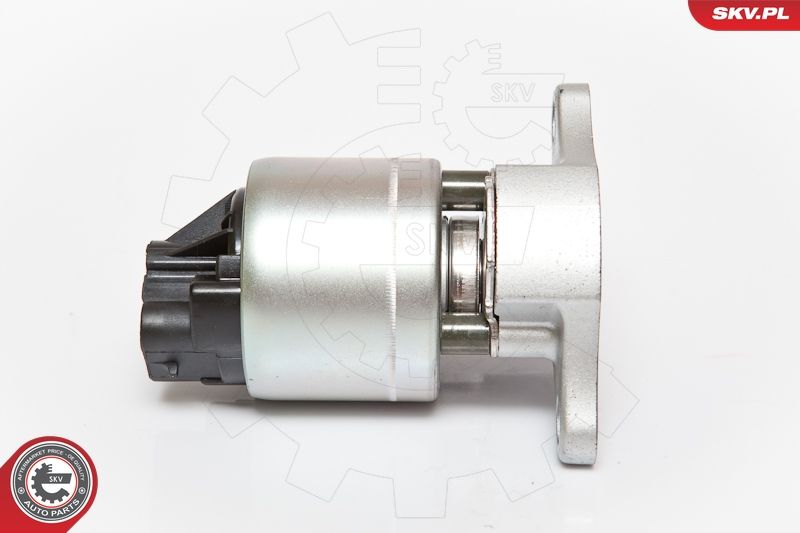 ESEN SKV 14SKV056 EGR Valve