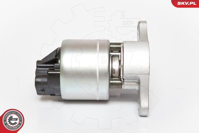 EGR Valve ESEN SKV 14SKV056