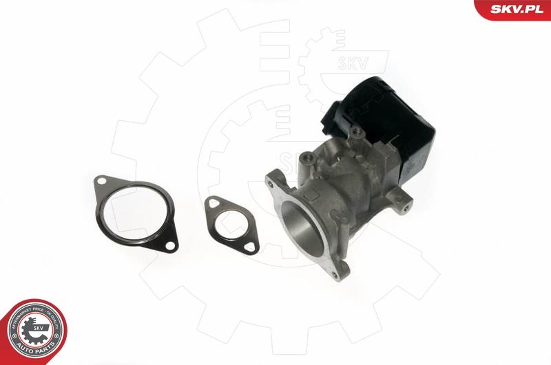 ESEN SKV 14SKV057 EGR Valve