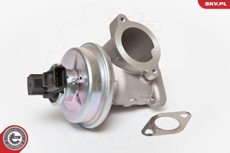 ESEN SKV 14SKV061 EGR Valve