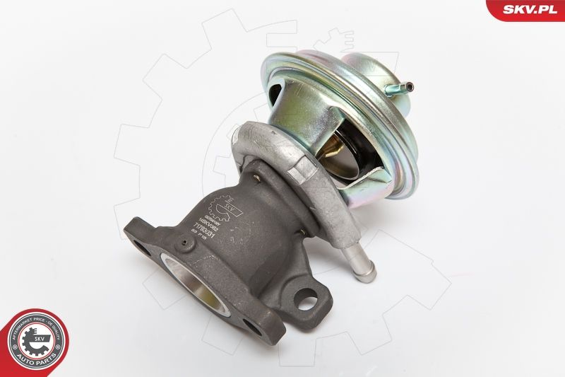 ESEN SKV 14SKV062 EGR Valve